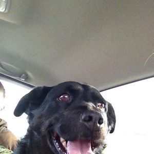 Meet your Posher, Jean